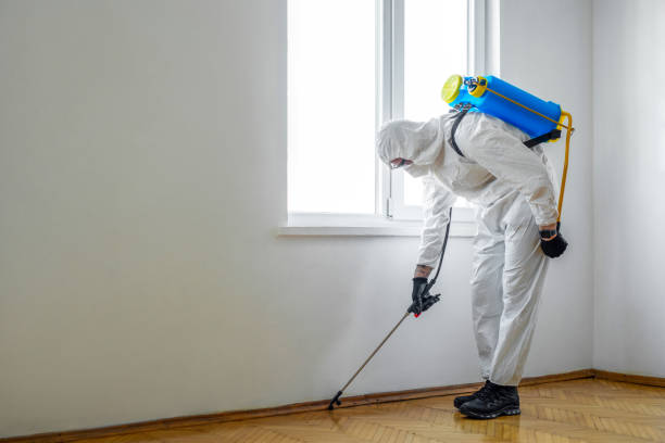 Best Fumigation Services  in Willow Grove, TX